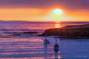 Mendocino Bay Evening-9963